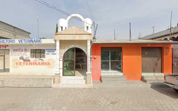 Fotografia tomada fuera de Farmacia y consultorio veterinario Dog tor - Hospital en Atoyatempan, Pue.